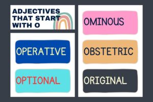 Adjectives that Start with O